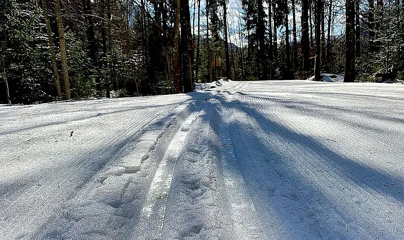 kaiserwinkl-biathlon-training-loipe