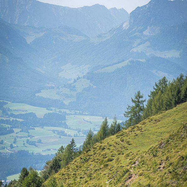 andi-gruhle-taubenseehuette-blick-von-sauermoeslalm