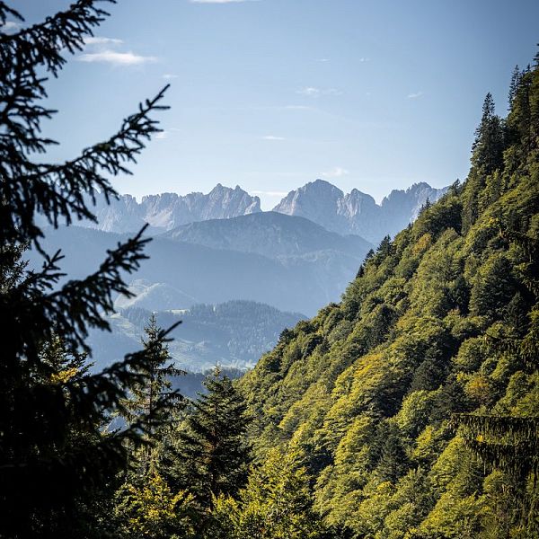 andreas-gruhle-herbstwanderung-karkopf-1-1