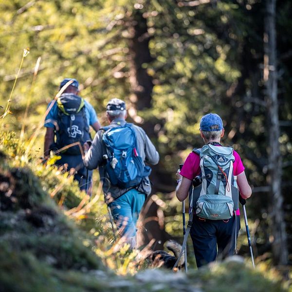 andreas-gruhle-herbstwanderung-karkopf-6-1