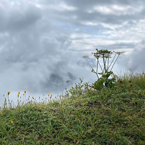 bike-hike-3-zblumen-oben