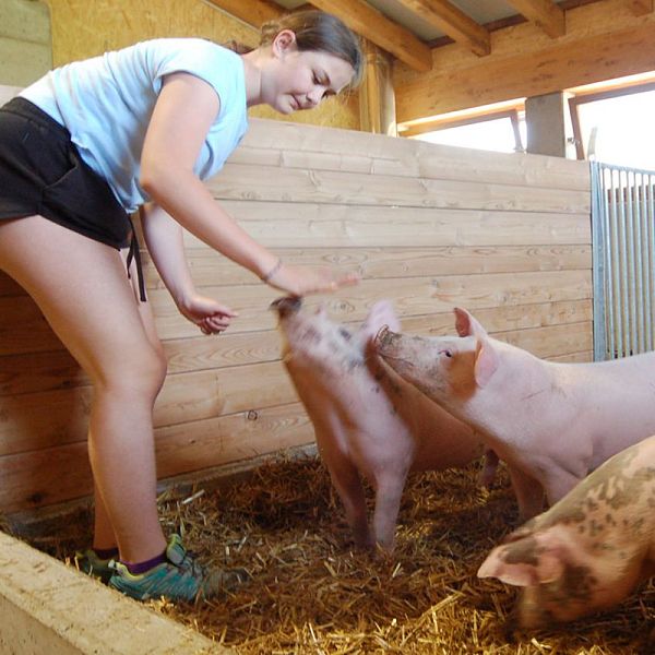 caroline-fellinger-unterhofstaett-ballsberger-schwein1