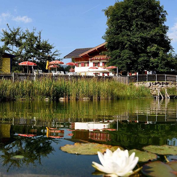 caroline-fellinger-unterhofstaett-ballsberger-schwimmteich8