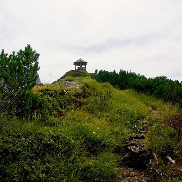 feldberg-stripsenkopf-10-von-15-1