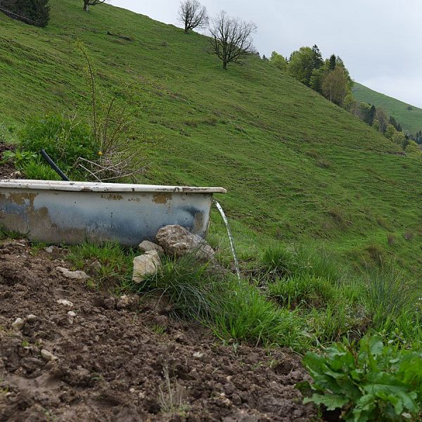 fellinger-gefuehrte-wanderung-brennkopf-13