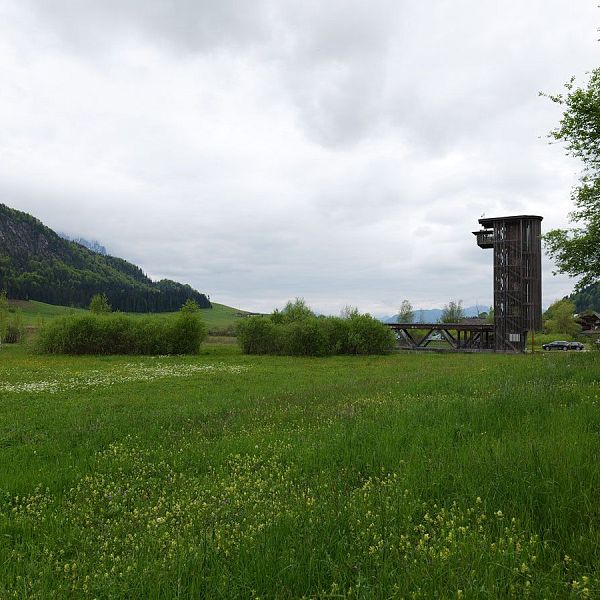 fellinger-gefuehrte-wanderung-brennkopf-15-2