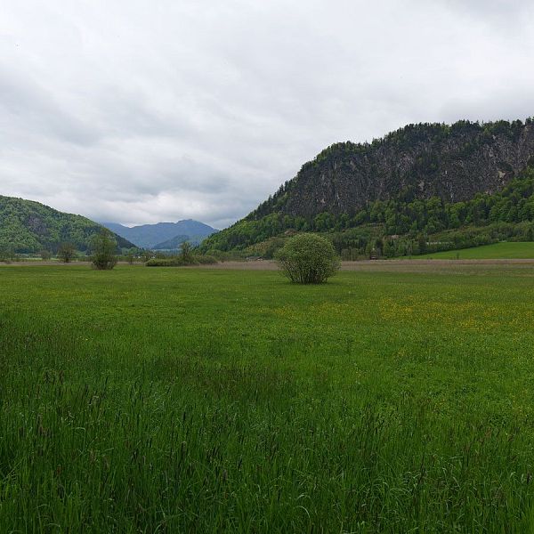 fellinger-gefuehrte-wanderung-brennkopf-16-2