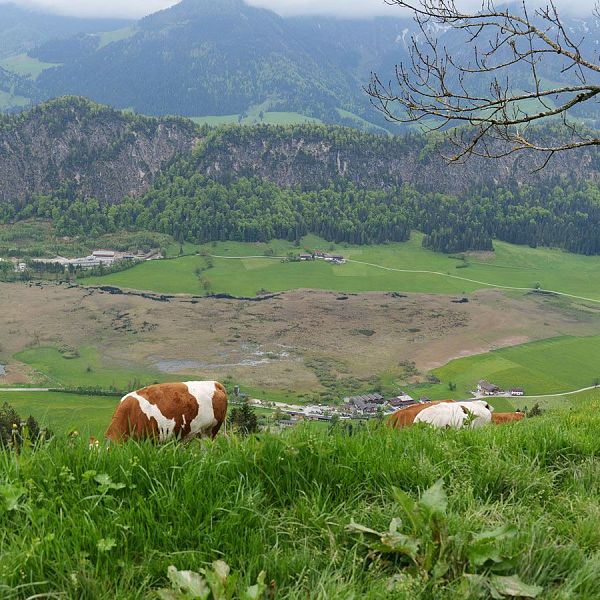 fellinger-gefuehrte-wanderung-brennkopf-19