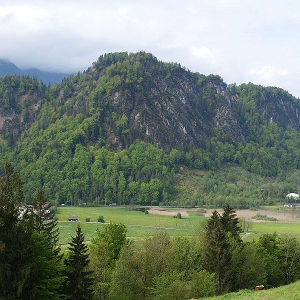 fellinger-gefuehrte-wanderung-brennkopf-3