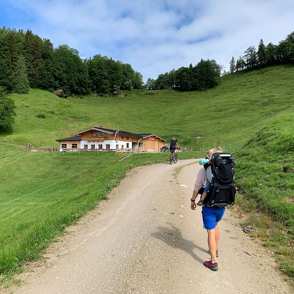 harauspitze-kaiserwinkl-alm-in-sicht