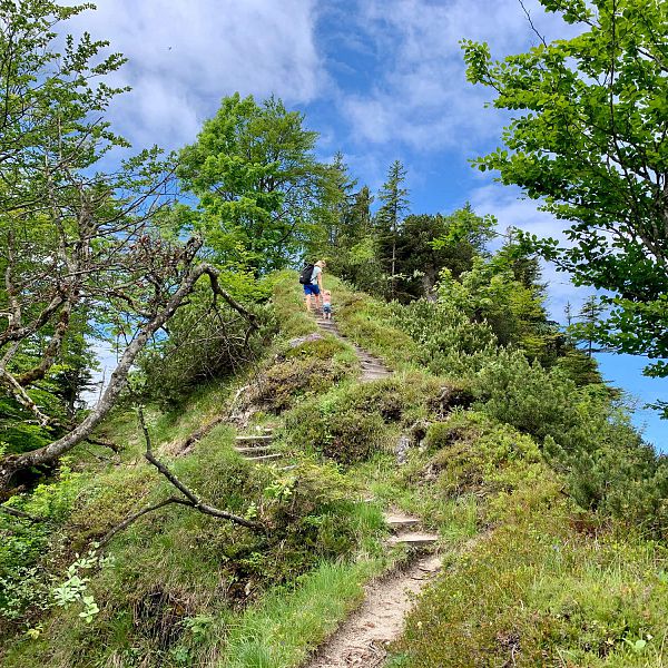 harauspitze-kaiserwinkl-gemeinsam