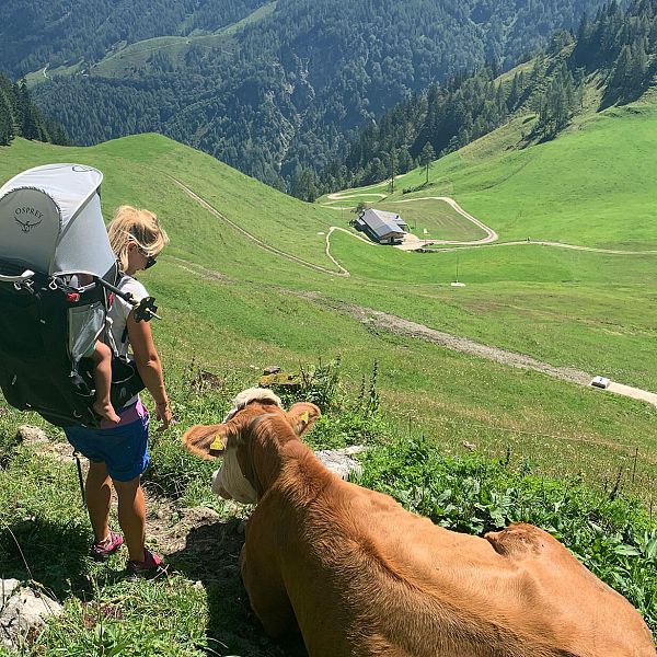 heuberg-alpenbaby18