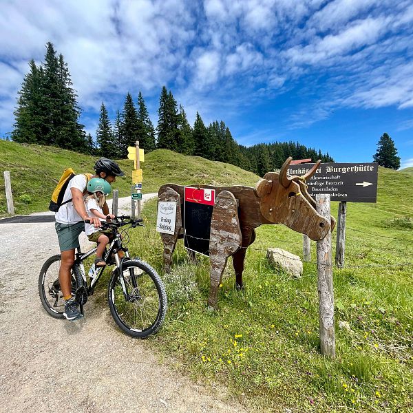 kaiserwinkl-abenteuer-alm-06