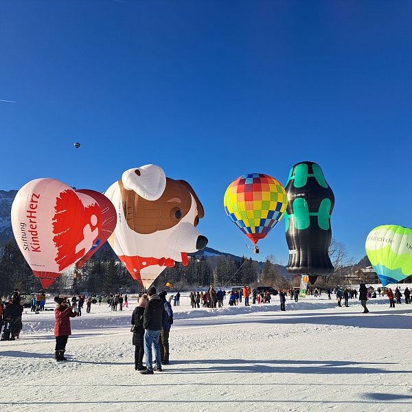 kaiserwinkl-alpin-ballooning-hund