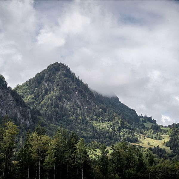 kaiserwinkl-andreasgruhle-edernalm-ottenalm-01-aufstieg-zur-edernalm