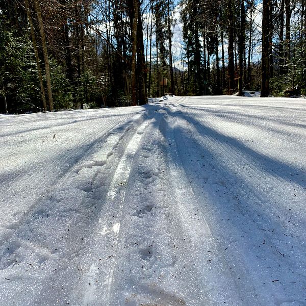 kaiserwinkl-biathlon-training-loipe