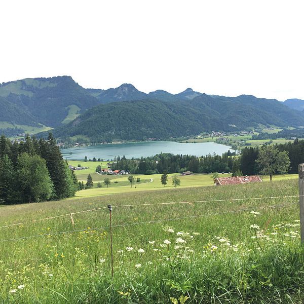 kaiserwinkl-biketour-walchsee