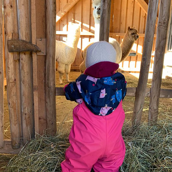 kaiserwinkl-jodlerhof-entdeckungstour-baby