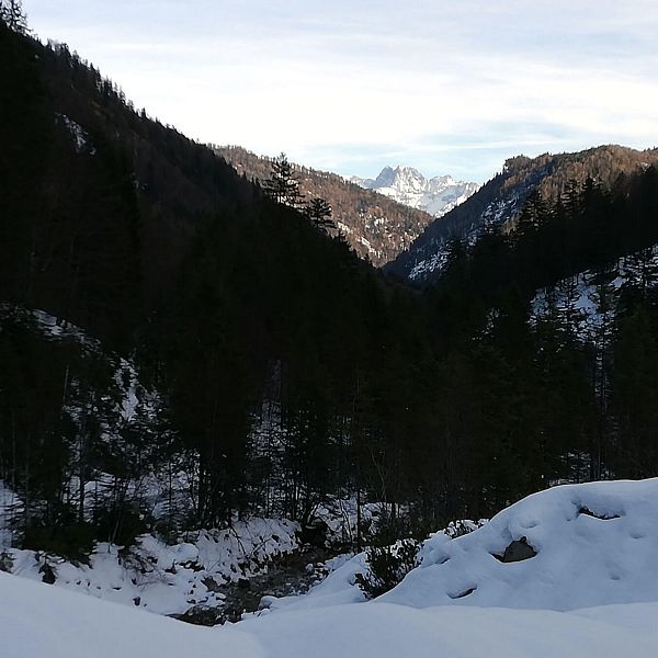 kaiserwinkl-kaiserbachtal-winter-bergpanorama