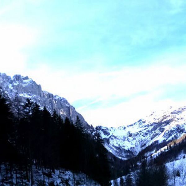 kaiserwinkl-kaiserbachtal-winter-panoramabild