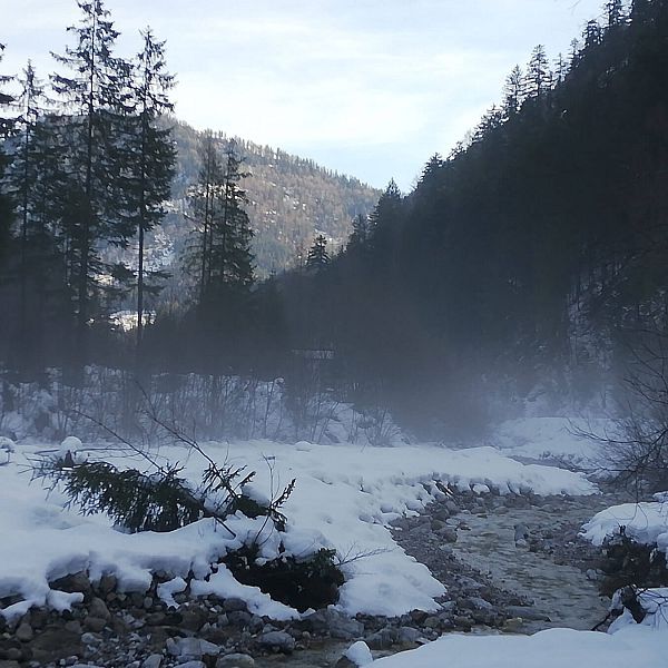 kaiserwinkl-kaiserbachtal-winterlicher-bach