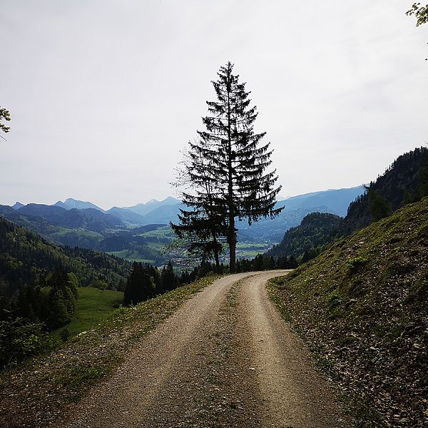 kaiserwinkl-lenaschindler-genussradrunde-08