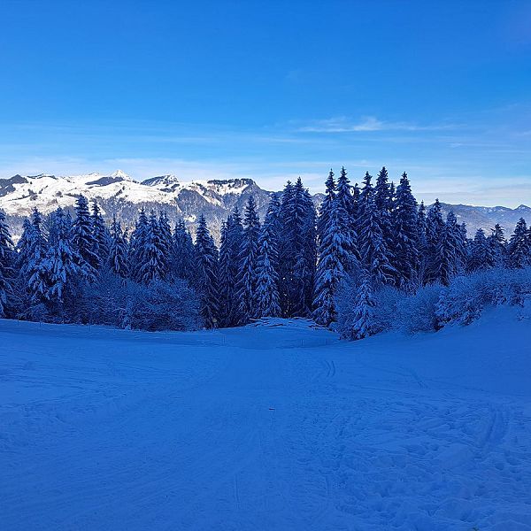 kaiserwinkl-magazin-winterwanderung-mit-rodelspass-15