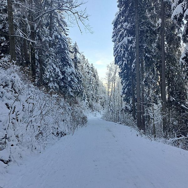 kaiserwinkl-magazin-winterwanderung-mit-rodelspass-18