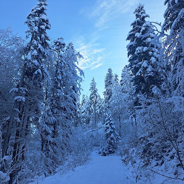 kaiserwinkl-magazin-winterwanderung-mit-rodelspass-5