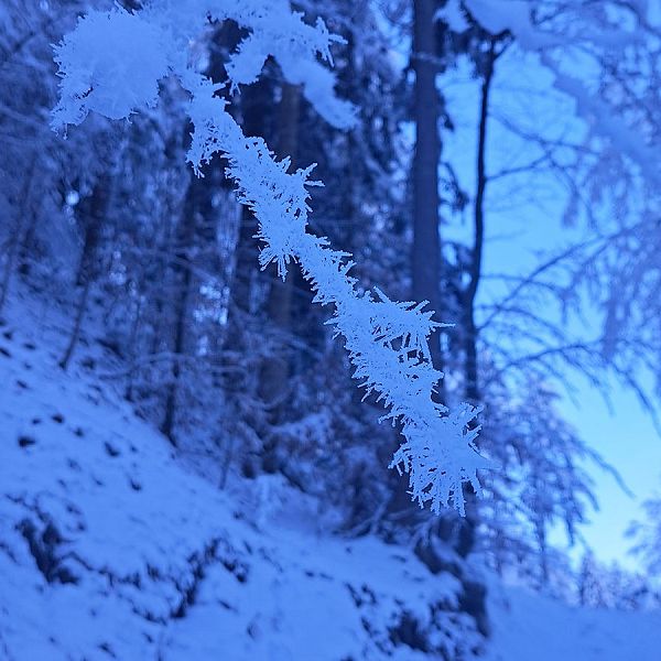 kaiserwinkl-magazin-winterwanderung-mit-rodelspass-6