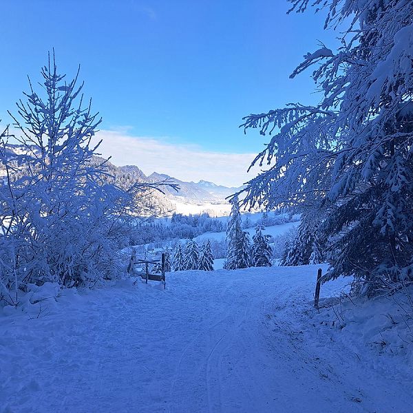 kaiserwinkl-magazin-winterwanderung-mit-rodelspass-7