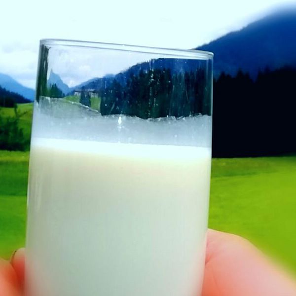 kaiserwinkl-milch