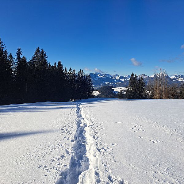 kaiserwinkl-miriamwagner-winterwanderung-06