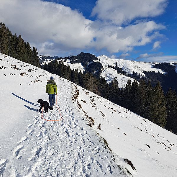 kaiserwinkl-miriamwagner-winterwanderung-11