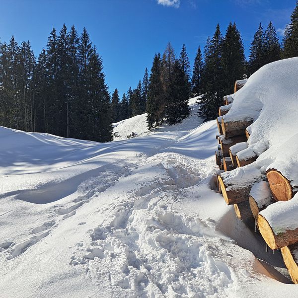 kaiserwinkl-miriamwagner-winterwanderung-14