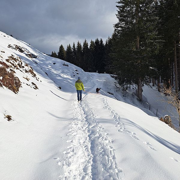 kaiserwinkl-miriamwagner-winterwanderung-15