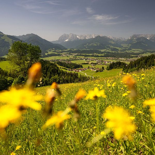 kaiserwinkl-ort-koessen-im-sommer