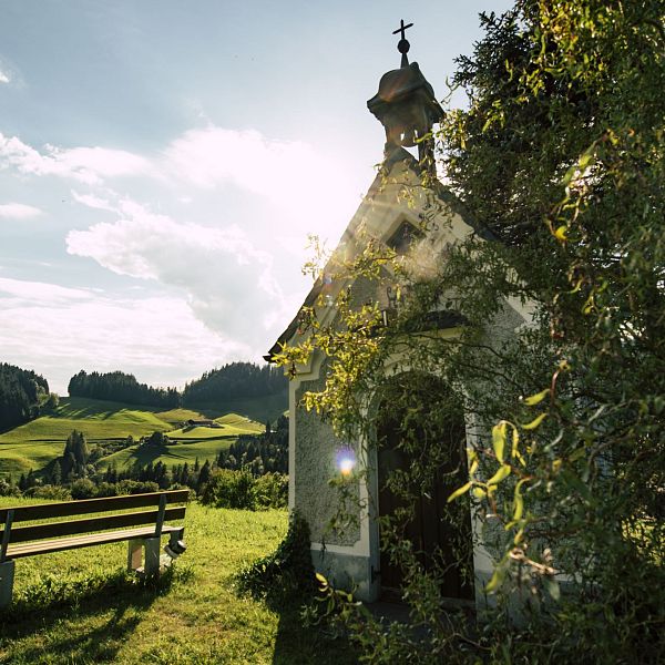 kaiserwinkl-rettenschoess-sommer