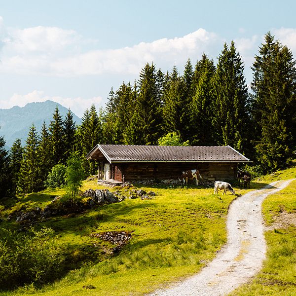 kaiserwinkl-saltinourhair-schoenstenmomente-07-wanderungtaubensee