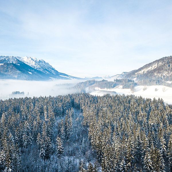 kaiserwinkl-skating-langlauf6-1