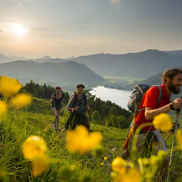 kaiserwinkl-urlaub-aktivitaeten-wandern-walchsee-sommer-sommerwandern-13