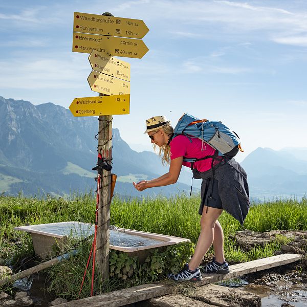 kaiserwinkl-urlaub-aktivitaeten-wandern-walchsee-sommer-sommerwandern