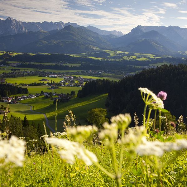 kaiserwinkl-urlaub-landschaft-koessen-sommer-sommerlandschaft-1