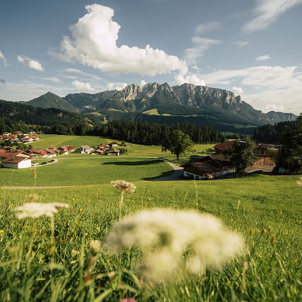 kaiserwinkl-urlaub-landschaft-rettenschoess-sommerlandschaft-dorfzentrum-sommer-zahmer-kaiser-1