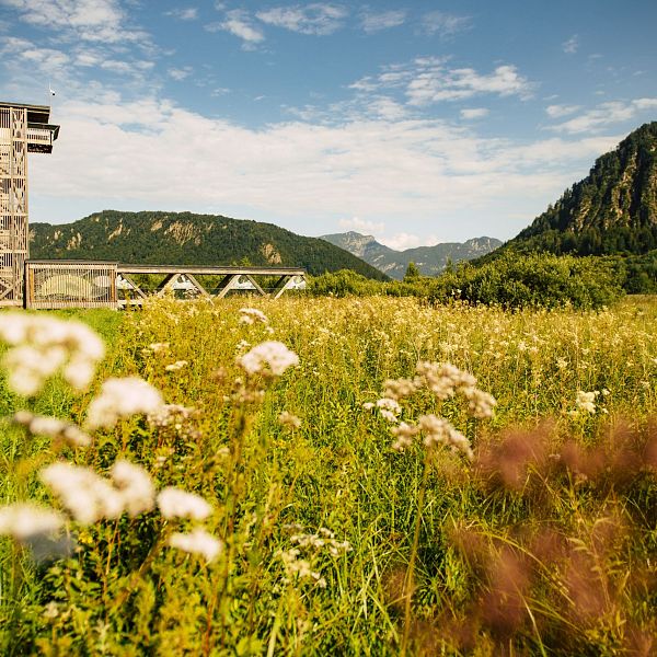 kaiserwinkl-urlaub-sommer-2020-295