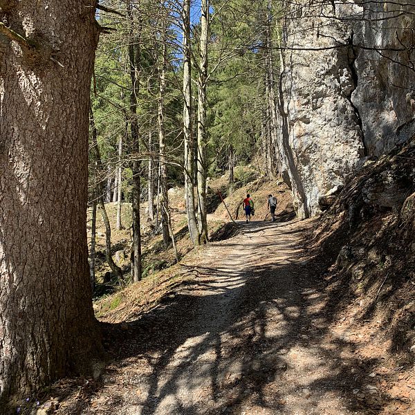 kaiserwinkl-urlaub-wandern-taubensee-1