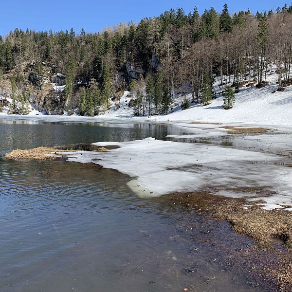 kaiserwinkl-urlaub-wandern-taubensee-4