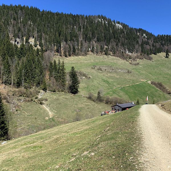 kaiserwinkl-urlaub-wandern-taubensee