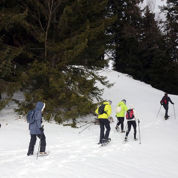 kaiserwinkl-urlaub-winter-schneeschuhwandern-11