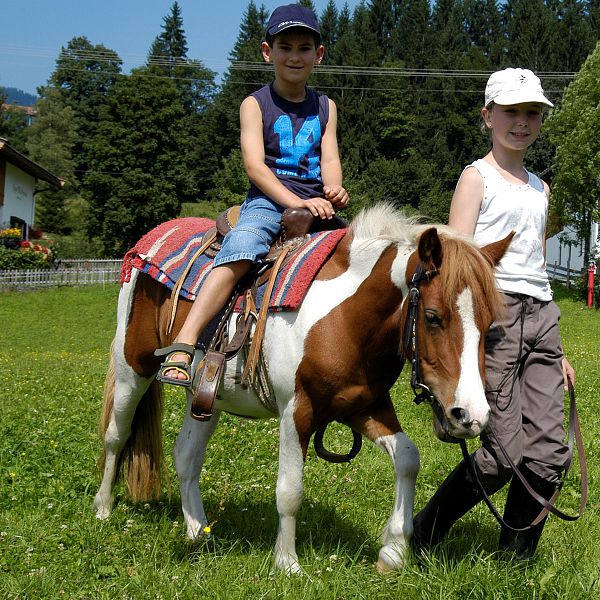 kaiserwinkl-walchsee-pony-reiten-aignerhof